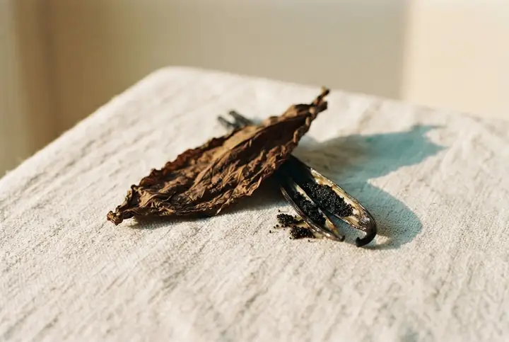 A dried tobacco leaf beside a split vanilla pod on pale linen