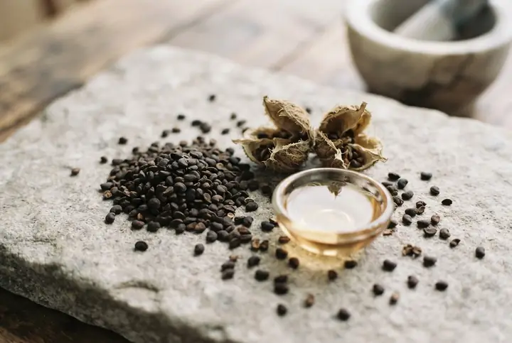 Ambrette seeds and dried musk mallow pods scattered on a pale stone slab beside a small glass dish of pale oil