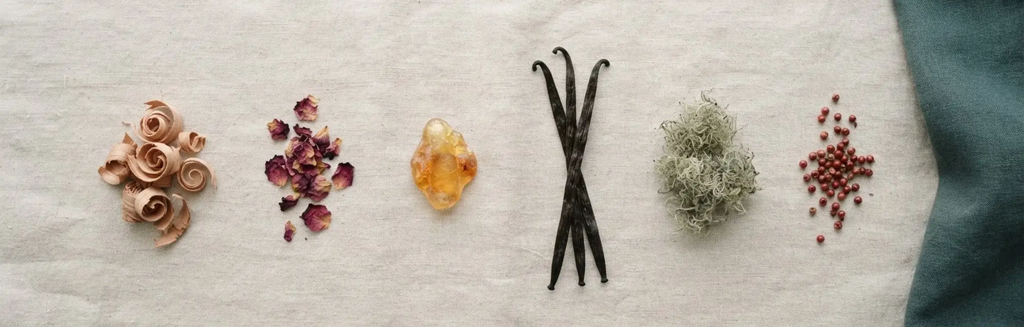 Cedar shavings, dried rose petals, a piece of amber resin, vanilla pods, oakmoss and pink peppercorns laid in a row across pale linen